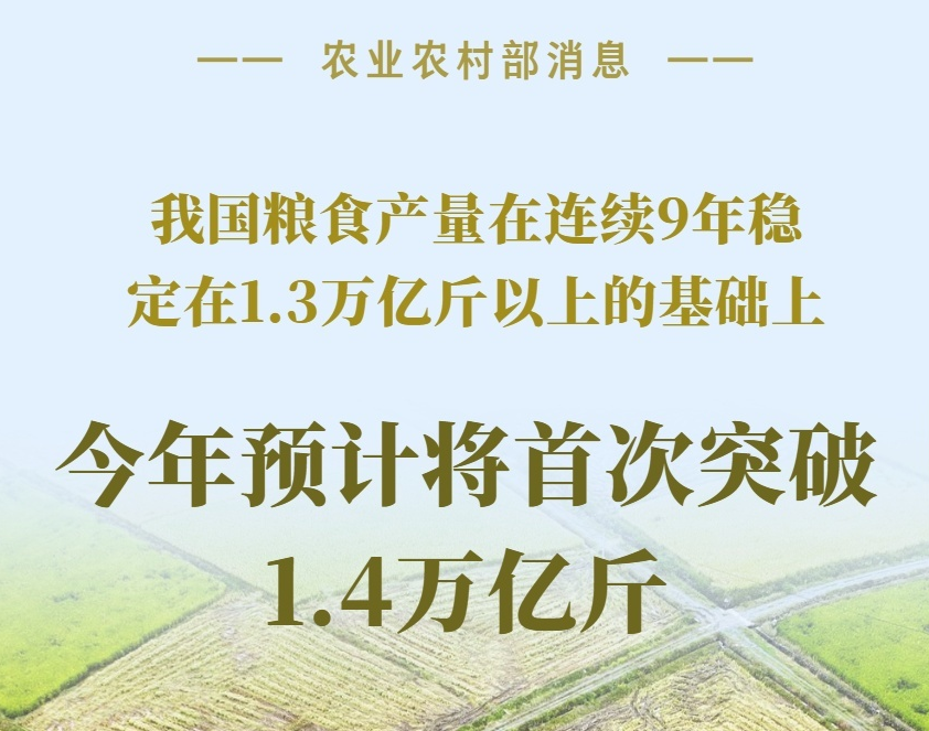 預(yù)計(jì)將首次突破1.4萬億斤！數(shù)據(jù)看“大國(guó)糧倉(cāng)”的底氣