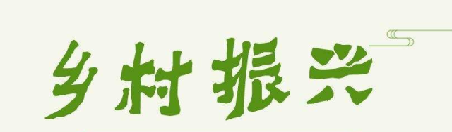 紅陽(yáng)村：白香瓜種出“甜蜜”生活