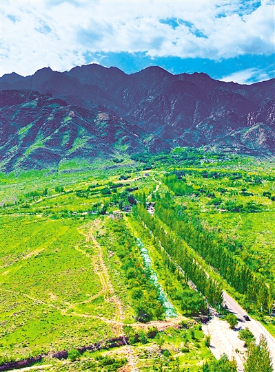    綠色——賀蘭山，寧夏的父親山。隨著近年來賀蘭山生態(tài)保衛(wèi)戰(zhàn)的打響，賀蘭山生態(tài)逐步恢復(fù)，是寧夏踐行“綠水青山就是金山銀山”理念的生動(dòng)寫照。     本報(bào)記者 馬楠 攝