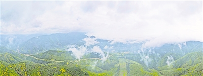     清晨，薄霧籠罩六盤山。